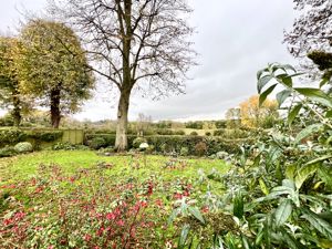 Garden- click for photo gallery